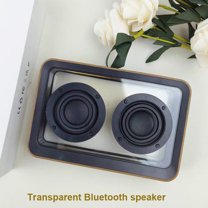 مكبر صوت بلوتوث شفاف إبداعي مع - مراجعة Amazon Music Audio Quality وسعره